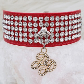 E-Commerce National Dog Day, Jewel Collar